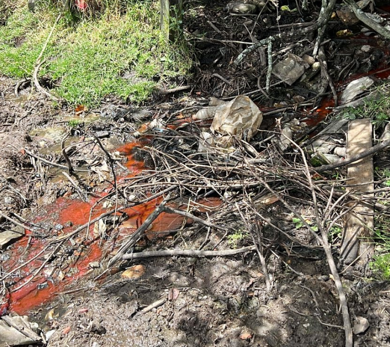 Imponen sanciones a dos restaurantes por contaminar el río Neusa